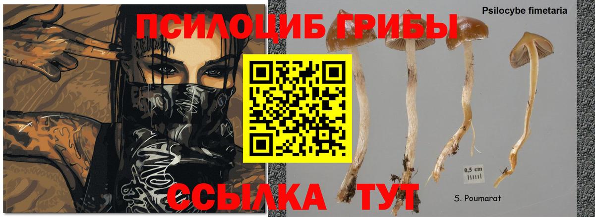 Галлюциногенные грибы мицелий Нижнеудинск